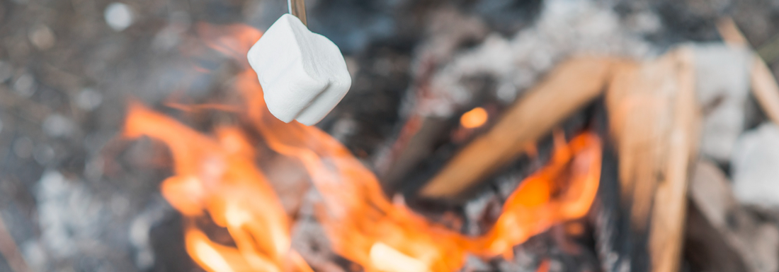 Roasting Marshmallow over a campfire